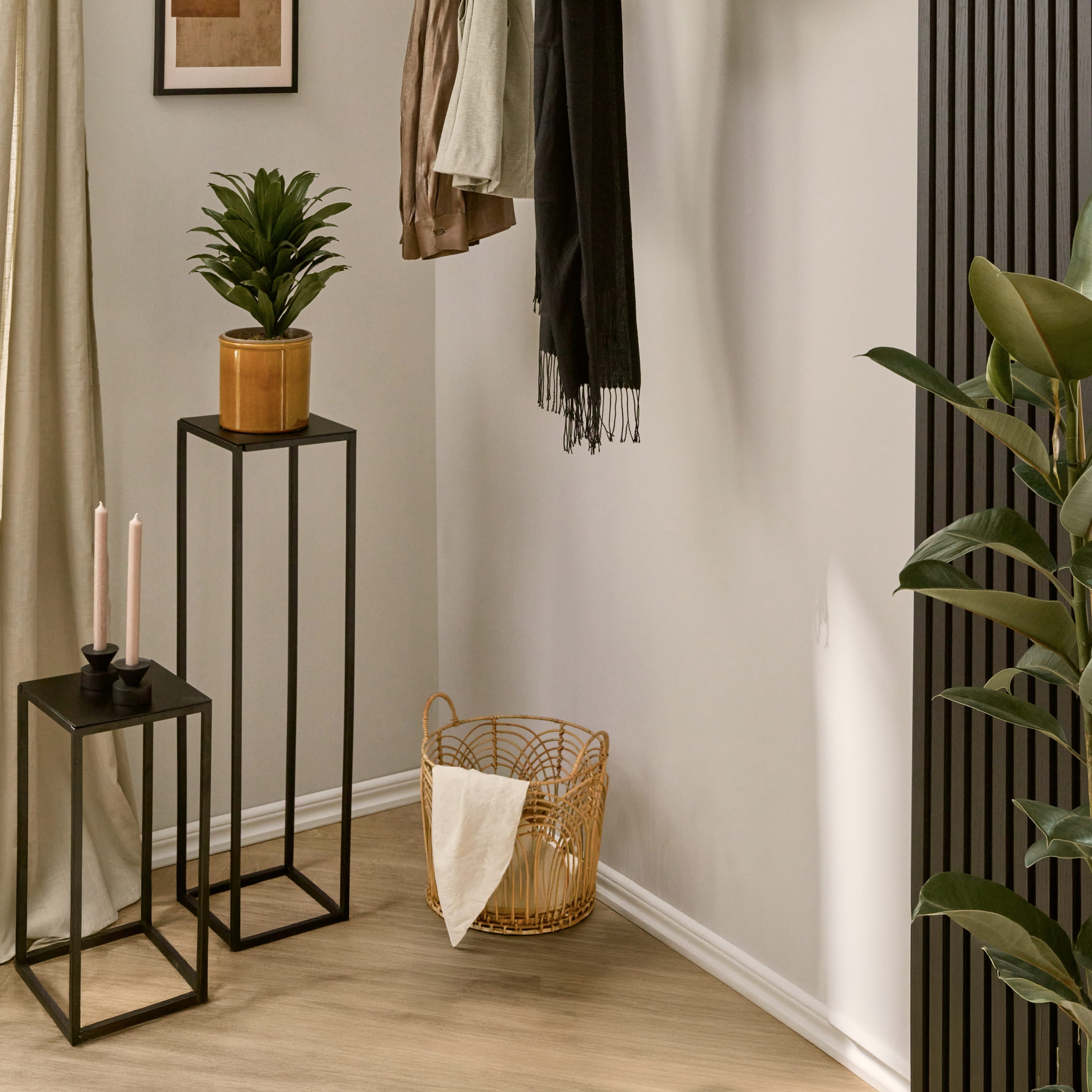 Soporte de la planta RECHTECK