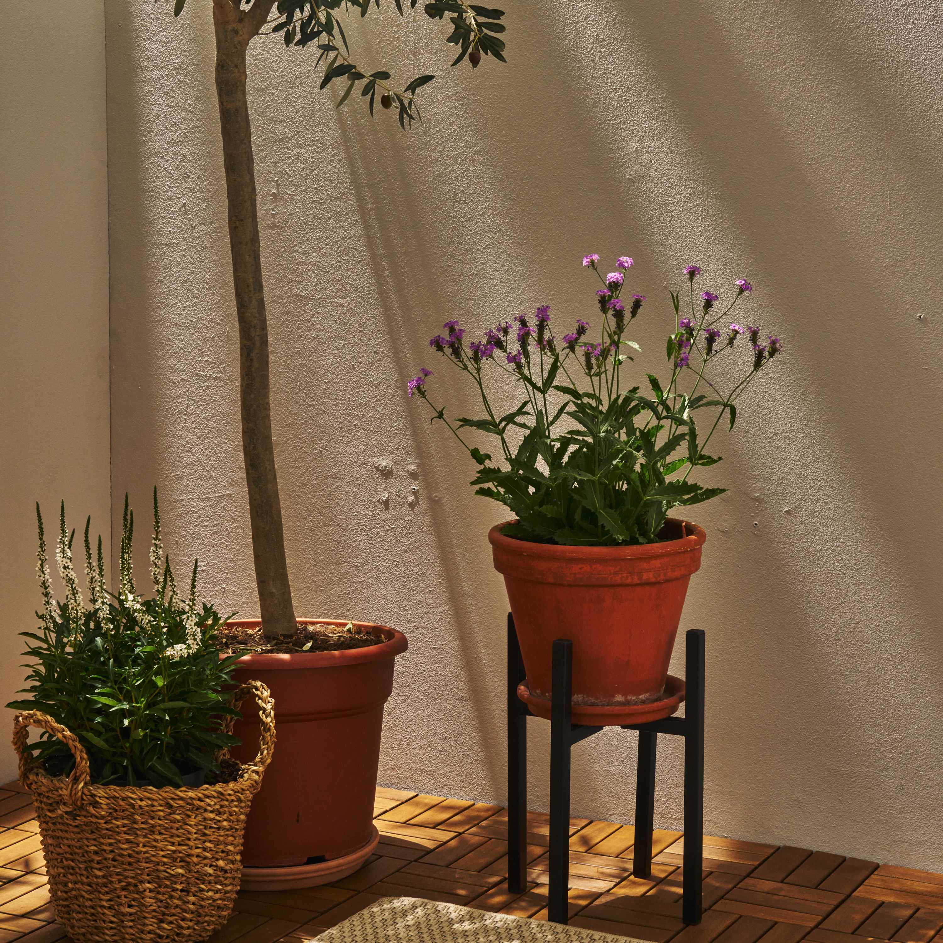 Support pour plantes X-FORM