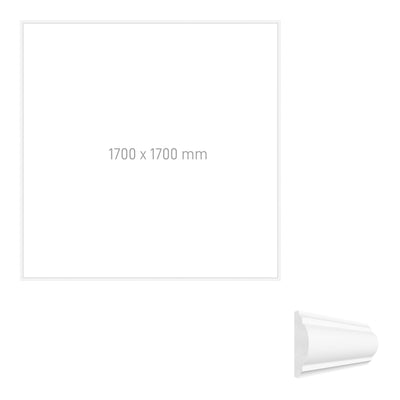 THEA wall frame